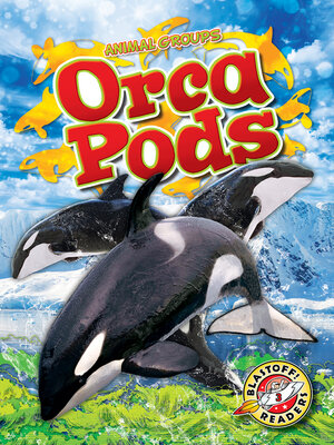 cover image of Orca Pods
